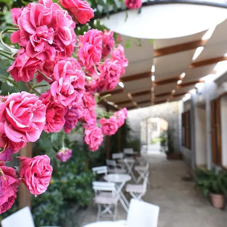 Rose Garden